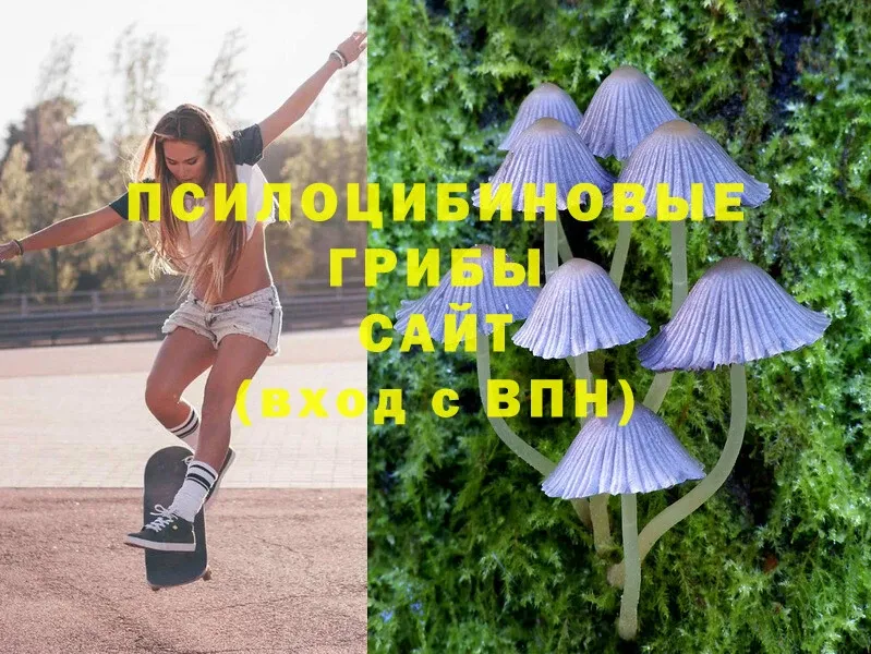 Псилоцибиновые грибы MAGIC MUSHROOMS  маркетплейс телеграм  Десногорск 